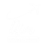 aim tours and travels